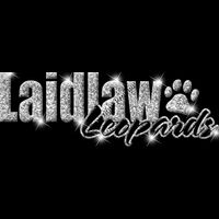 GLT1 SILVER GLITTER Thumbnail