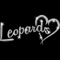 GLT6 SILVER GLITTER Thumbnail